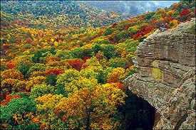 Ozark Mountain Fall