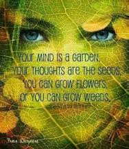 mind is a garden